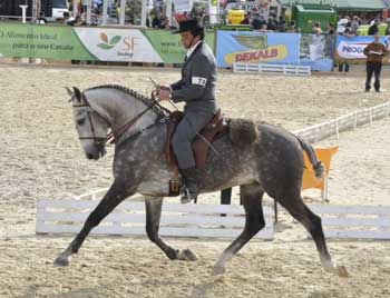 Resultados da 1&ordf; Jornada do Campeonato Regional do Norte 2013 - Trofa