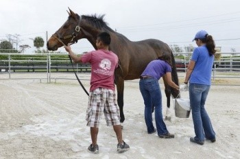 James Lala quarantine facility gets horses to win