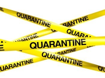 Equine herpes outbreak quarantines Florida show grounds