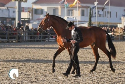 Produtos da Coudelaria de Santa Margarida destacam-se na Trofa
