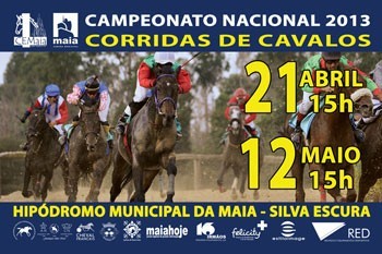 Campeonato Nacional de Corridas de Cavalos inicia-se na Maia!