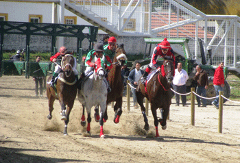 Alter do Chão acolhe a 2ª Jornada do Campeonato Nacional de Corridas de Cavalos