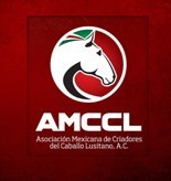 México – pontuação para o Livro de Reprodutores da raça Lusitana