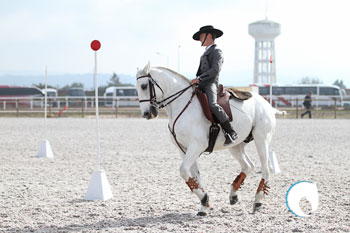 II Jornada do Campeonato Nacional de Equitação de Trabalho 2013 disputa-se na Ovibeja
