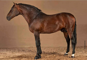 Morreu &laquo;Califa&raquo;