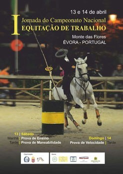 Campeonato Nacional de Equita&ccedil;&atilde;o de Trabalho 2013 arranca este fim-de-semana em &Eacute;vora