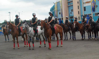 Governo do Equador pretende adquirir 150 cavalos