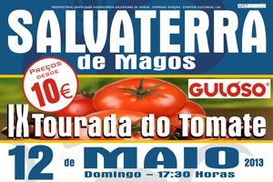 Jovens perante toiros imponentes em Salvaterra