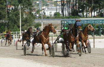 Felgueiras acolheu a 3ª jornada do Campeonato Nacional de Corridas de Cavalos