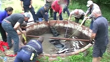 Bombeiros resgatam cavalo do interior de um poço (vídeo)