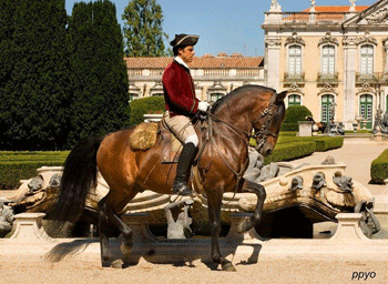 Escola Portuguesa de Arte Equestre nos Jardins do Palácio de Queluz