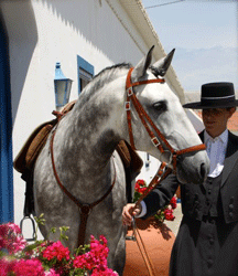 «Couto dos Pardinhos» vendido para a Noruega