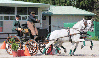 Bons resultados de António Simões e José Freixa no CAIO de Saumur