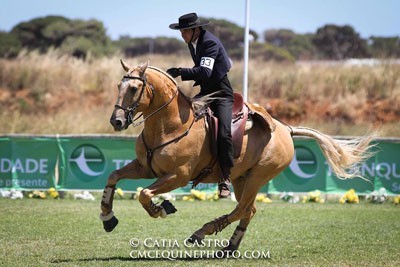 Resultados da V Jornada do Campeonato Nacional de Equita&ccedil;&atilde;o de Trabalho - Cascais