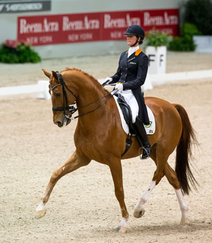 Ser&aacute; que Parzival recupera at&eacute; aos Campeonatos da Europa na Dinamarca?