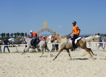 André Caeiro ganha o CEI*** Xinzo de Limia