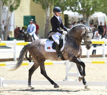 «Coroado AR» apurado para o Campeonato do Mundo de Cavalos Novos de Dressage