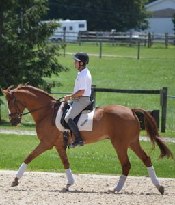 &laquo;Mr Medicott&raquo; para Phillip Dutton