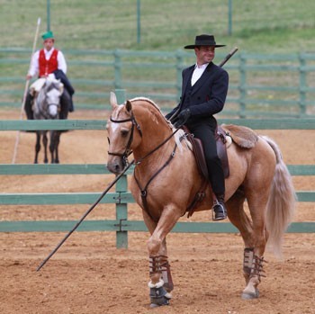 Consulte o 1&ordm; Ranking do Campeonato Nacional de Equita&ccedil;&atilde;o de Trabalho 2013