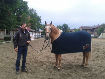 Lusitanos passam o vet check em Livorno