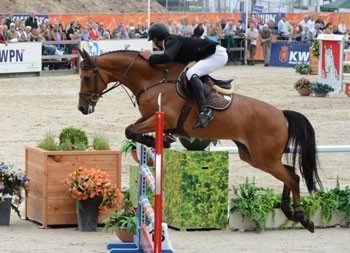 Triunfo de Mário Wilson Fernandes no Campeonato de Cavalos Novos de 7 anos na Holanda