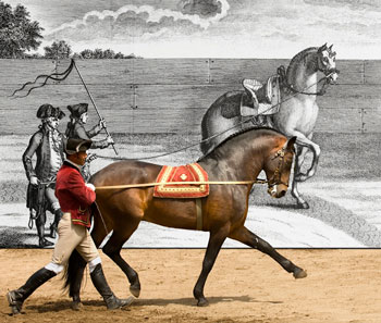 Escola Portuguesa de Arte Equestre com espet&aacute;culos em &laquo;Marselha – Capital Europeia da Cultura&raquo;