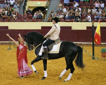 Apontamento sobre o espectáculo Arte da Andaluzia a Cavalo no Campo Pequeno