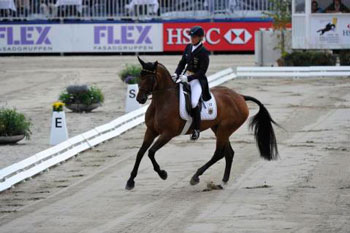 Klimke’s new star puts Germany at the top