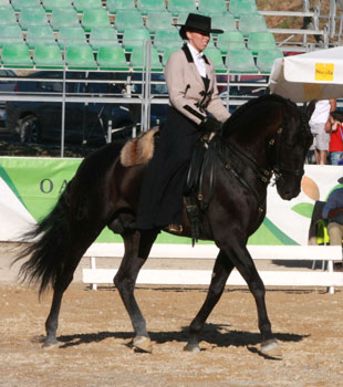 Equitação de Trabalho na «XIV Alcobaça Equestre»