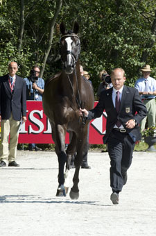HSBC FEI European Eventing Championships 2013: Sun smiles on horses and riders at Malmö