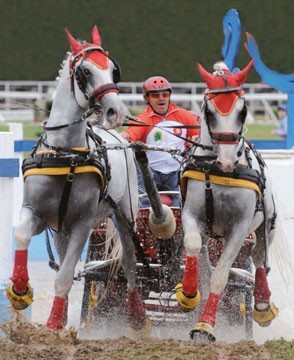 Record participation at FEI World Pair Driving Championships at Topolcianky