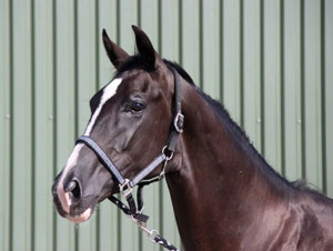 &laquo;First Lady&raquo; para Beatriz Ferrer-Salat