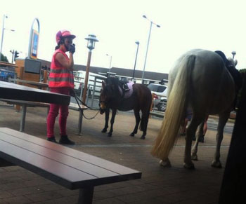 Amazona a cavalo foi multada no McDonalds