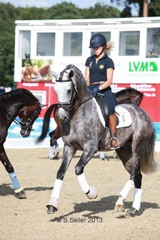 Lusitanos têm participação discreta no Mundial de Cavalos Novos em Verden