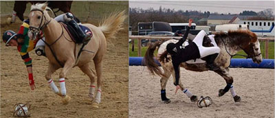 A «ramassage» perfeita...