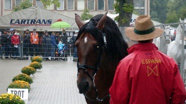3 Cavalos reprovam no vet-check na Eslováquia (Actualizada)
