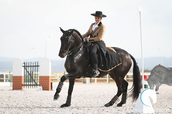 Campeonato Nacional de Equitação de Trabalho: Final antecipada