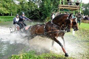 Portugal em 12º lugar no Mundial de Parelhas (vídeo)