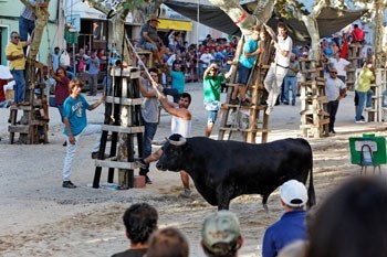 Moita está em festa!