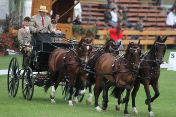 Double gold for Holand at the European Four-in-Hand Championships