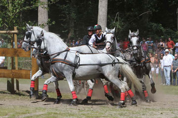 FEI European Four-in-Hand Driving Championships return to Hungary after 42 years