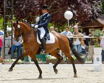 8 Cavalos Lusitanos inscritos nos Campeonatos de Espanha de Dressage