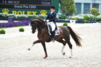 Yvonne Fiestelmann vai montar Belissimo M (v&iacute;deo)