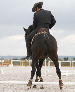 Cancelada a VIII Jornada do Campeonato Nacional de Equita&ccedil;&atilde;o de Trabalho – Serpa
