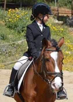 Resultados da VI Jornada do Mini Troféu Dressage Póneis 2013