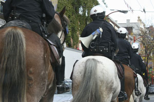 Cavalos da polícia provocam o caos no México (vídeo)