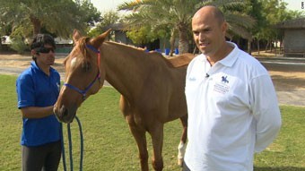 France, Spain & UAE take Endurance golds