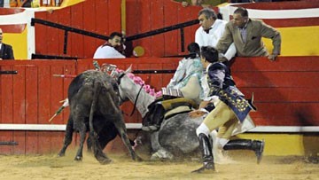 Jovem cavaleira Ana Rita colhida por touro