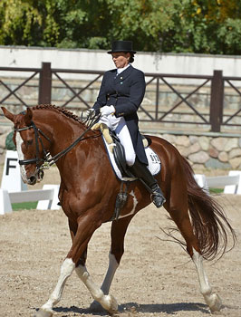 Double-gold for Yurkevich at Central Asia Dressage Championships