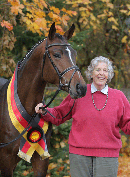 A gentleman through and through – Champion Stallion Kissinger